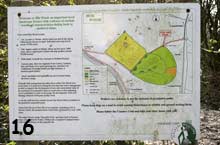 map of wood